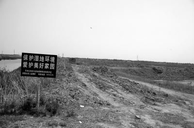 湿地被挖现场图三